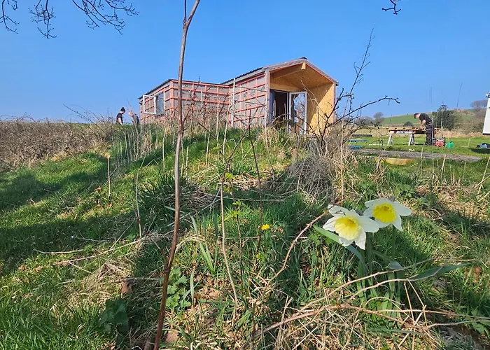 Under The Oak Glamping