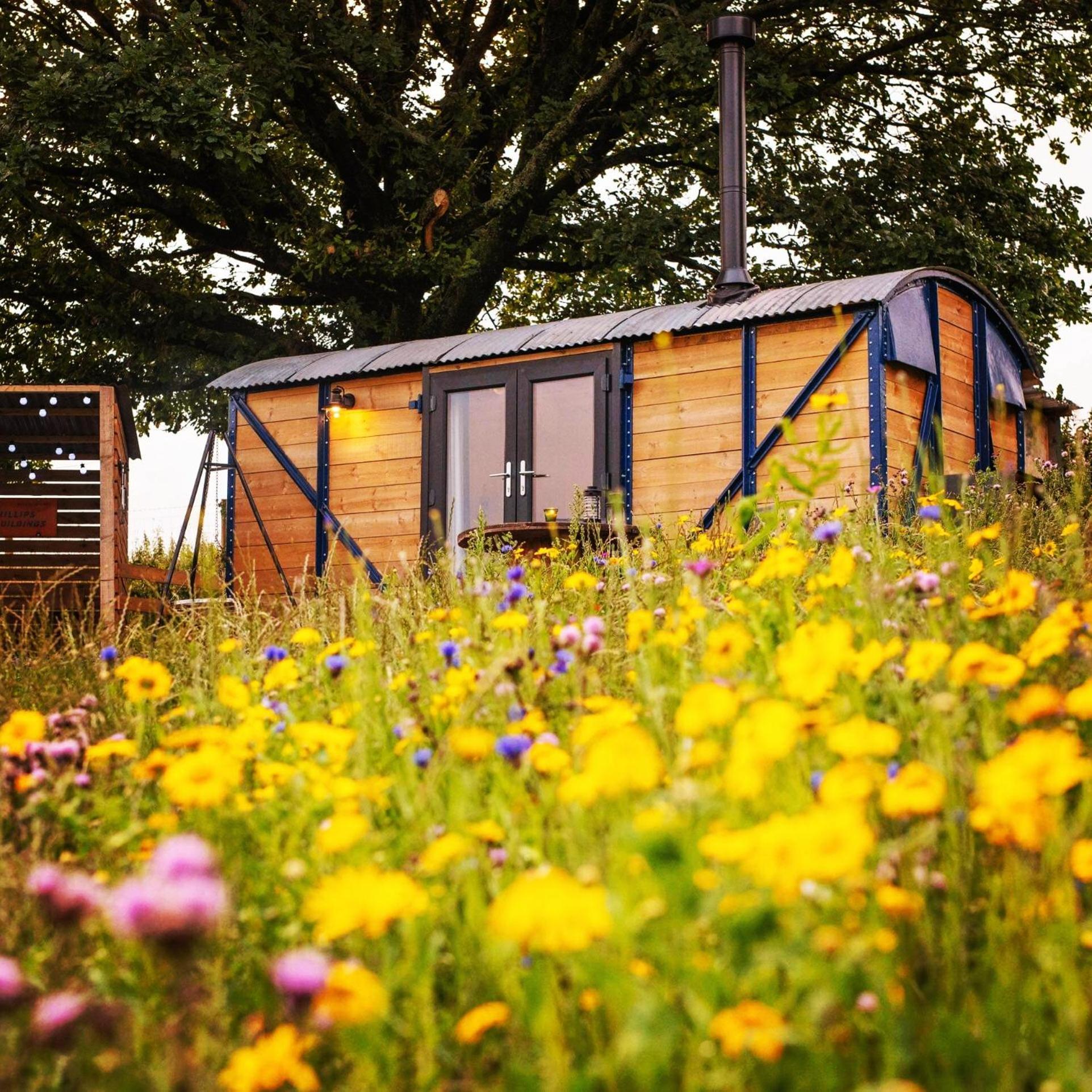 Luxury tent Under The Oak Glamping